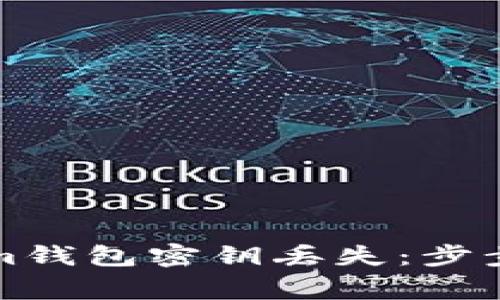 如何应对Tokenim钱包密钥丢失：步步为赢的解决方案