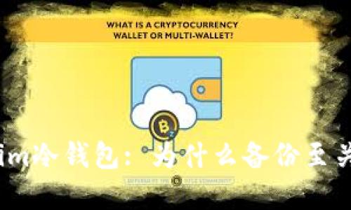Tokenim冷钱包: 为什么备份至关重要？