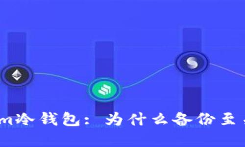 Tokenim冷钱包: 为什么备份至关重要？