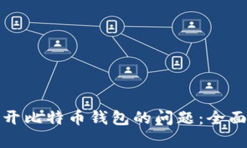 如何解决无法打开比特币钱包的问题：全面解析与解决方案