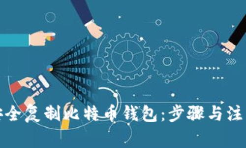 如何安全复制比特币钱包：步骤与注意事项