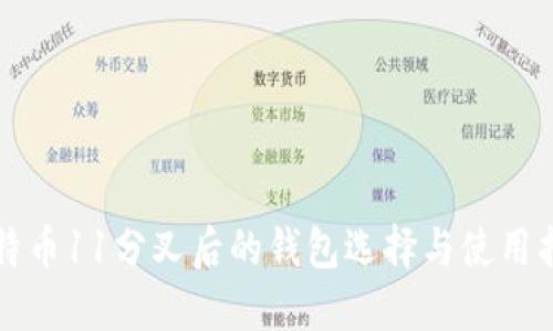 比特币11分叉后的钱包选择与使用指南