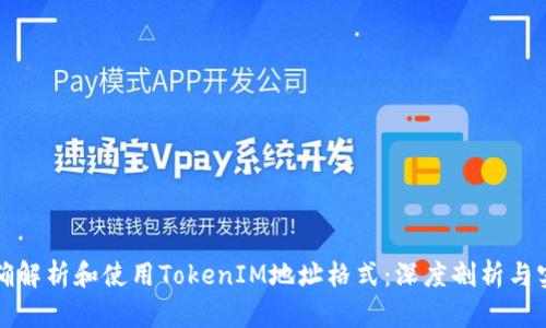 如何正确解析和使用TokenIM地址格式：深度剖析与实用指南