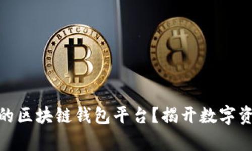 什么是真正的区块链钱包平台？揭开数字资产安全之谜