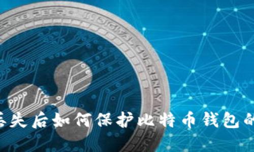 手机丢失后如何保护比特币钱包的安全？