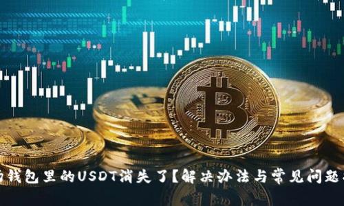波场钱包里的USDT消失了？解决办法与常见问题揭秘