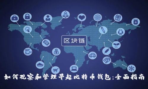 如何观察和管理早起比特币钱包：全面指南
