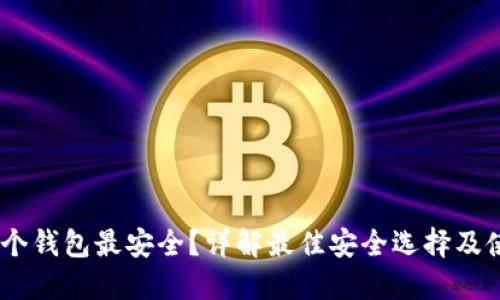 USDT哪个钱包最安全？详解最佳安全选择及使用指南