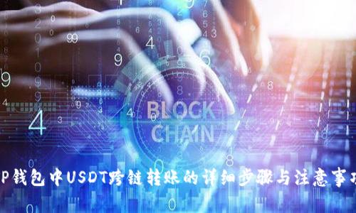 TP钱包中USDT跨链转账的详细步骤与注意事项