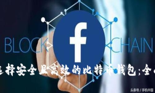 如何选择安全且高效的比特币钱包：全面指南