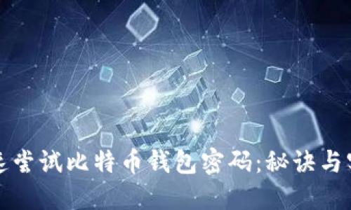 如何快速尝试比特币钱包密码：秘诀与实践指南