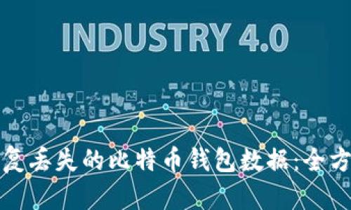 如何恢复丢失的比特币钱包数据：全方位指南