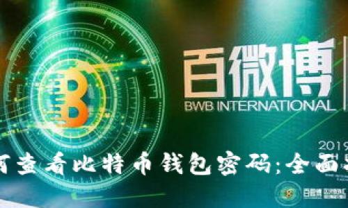 如何查看比特币钱包密码：全面指南
