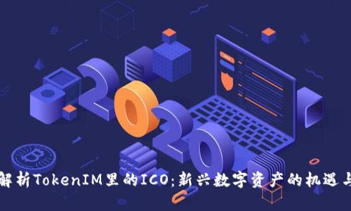 深入解析TokenIM里的ICO：新兴数字资产的机遇与挑战
