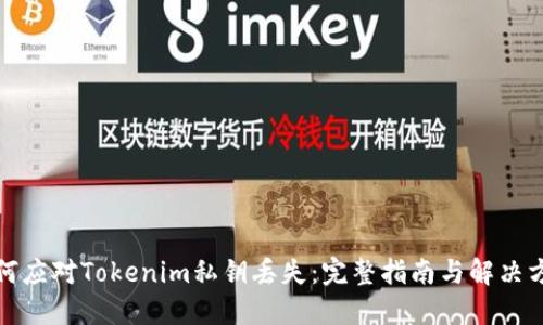 如何应对Tokenim私钥丢失：完整指南与解决方案