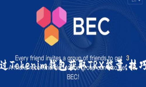 如何通过Tokenim钱包获取TRX能量：技巧与方法