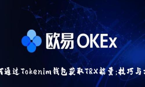如何通过Tokenim钱包获取TRX能量：技巧与方法