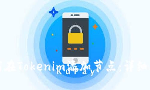 如何在Tokenim添加节点：详细指南