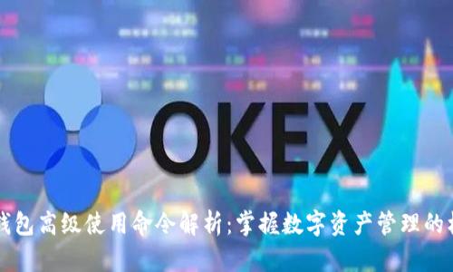 区块链钱包高级使用命令解析：掌握数字资产管理的核心技能