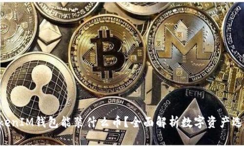 TokenTokenIM钱包能装什么币？全面解析数字资产选择与管理
