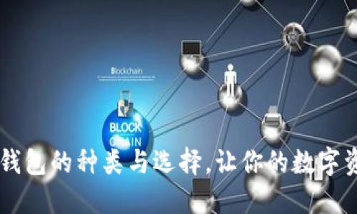 了解以太坊钱包的种类与选择，让你的数字资产安全无忧