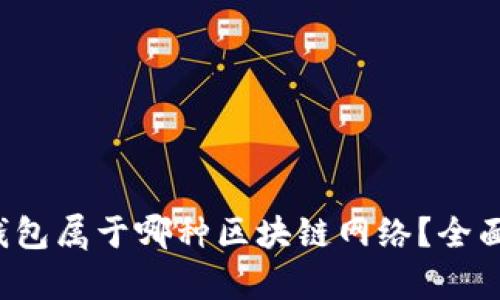 TokenTokenIM钱包属于哪种区块链网络？全面解析及应用场景