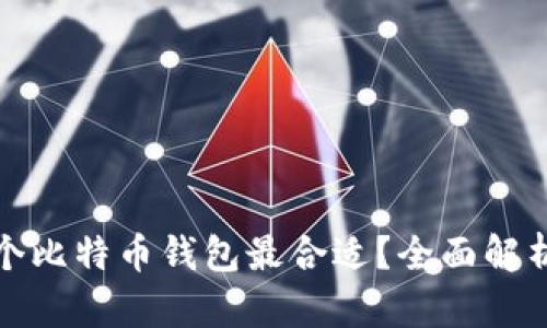 选择哪个比特币钱包最合适？全面解析与推荐