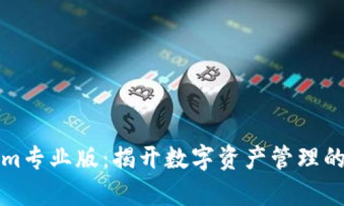 Tokenim专业版：揭开数字资产管理的新篇章