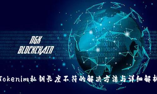 Tokenim私钥长度不符的解决方法与详细解析