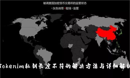 Tokenim私钥长度不符的解决方法与详细解析