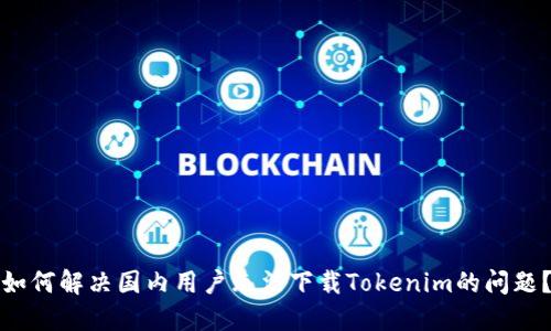 如何解决国内用户无法下载Tokenim的问题？