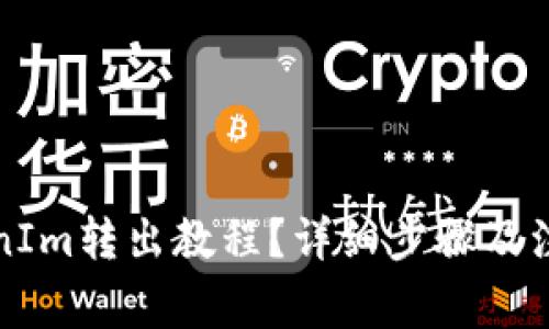 什么是TokenIm转出教程？详细步骤及注意事项解析