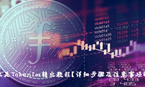 什么是TokenIm转出教程？详细步骤及注意事项解析
