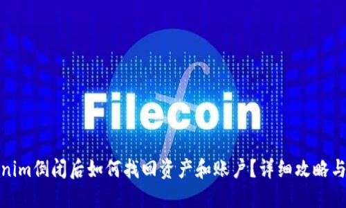 Tokenim倒闭后如何找回资产和账户？详细攻略与建议