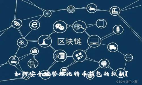 如何安全地管理比特币钱包的私钥？
