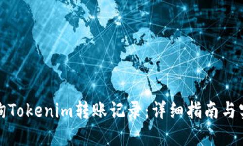 如何查询Tokenim转账记录：详细指南与实用技巧
