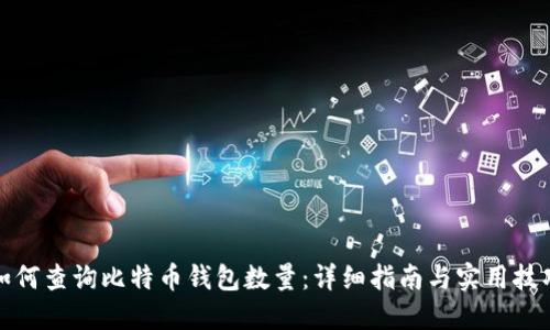 如何查询比特币钱包数量：详细指南与实用技巧