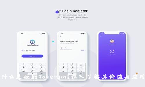 什么是映射Tokenim？深入了解其价值与应用