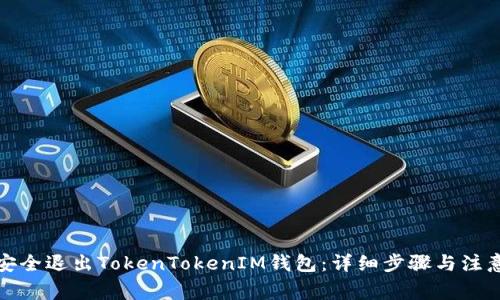 如何安全退出TokenTokenIM钱包：详细步骤与注意事项