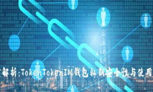 深度解析：TokenTokenIM钱包私钥安全性与使用指南