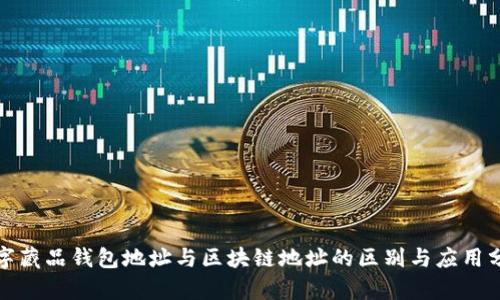 数字藏品钱包地址与区块链地址的区别与应用分析