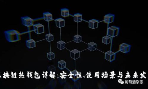 区块链热钱包详解：安全性、使用场景与未来发展