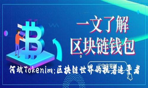 何斌Tokenim：区块链世界的执着追寻者