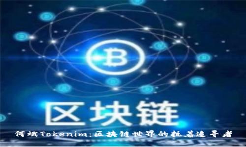 何斌Tokenim：区块链世界的执着追寻者