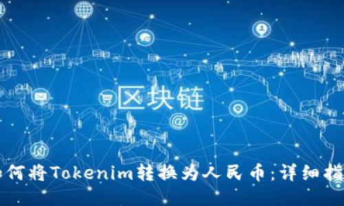 如何将Tokenim转换为人民币：详细指南