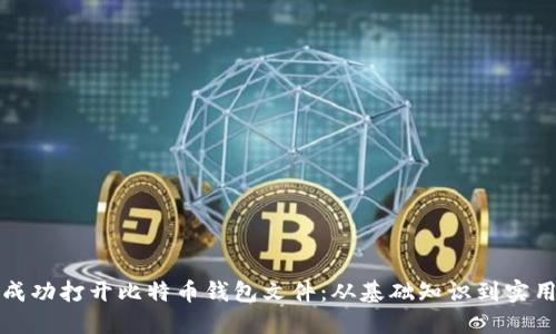 如何成功打开比特币钱包文件：从基础知识到实用技巧
