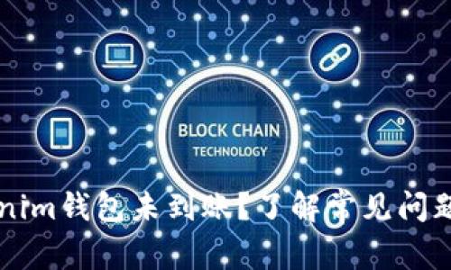 转账到Tokenim钱包未到账？了解常见问题及解决方案