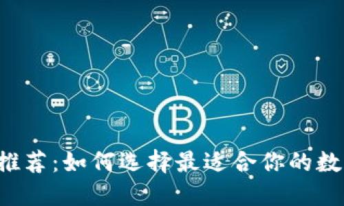 虚拟币钱包推荐：如何选择最适合你的数字货币钱包？