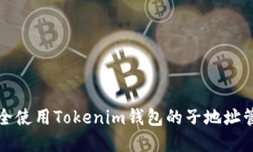如何安全使用Tokenim钱包的子地址管理资产