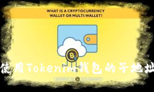 如何安全使用Tokenim钱包的子地址管理资产